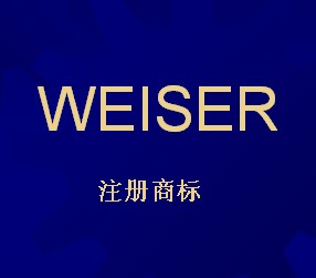 徐州市偉思水務(wù)科技有限公司