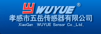 湖北五岳傳感器有限公司